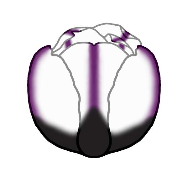 Demisexual Flower Pride Set