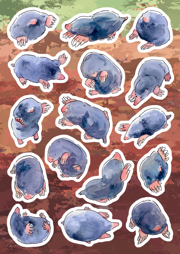 Moles - A6 sticker sheet