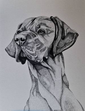 EllieWDraws