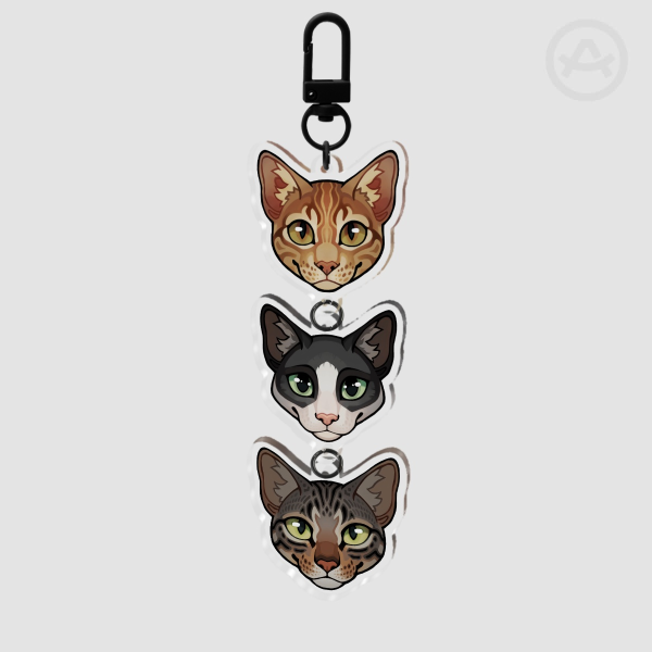 Cats Connection Acrylic Keychains