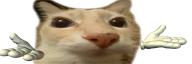 shopAvatar