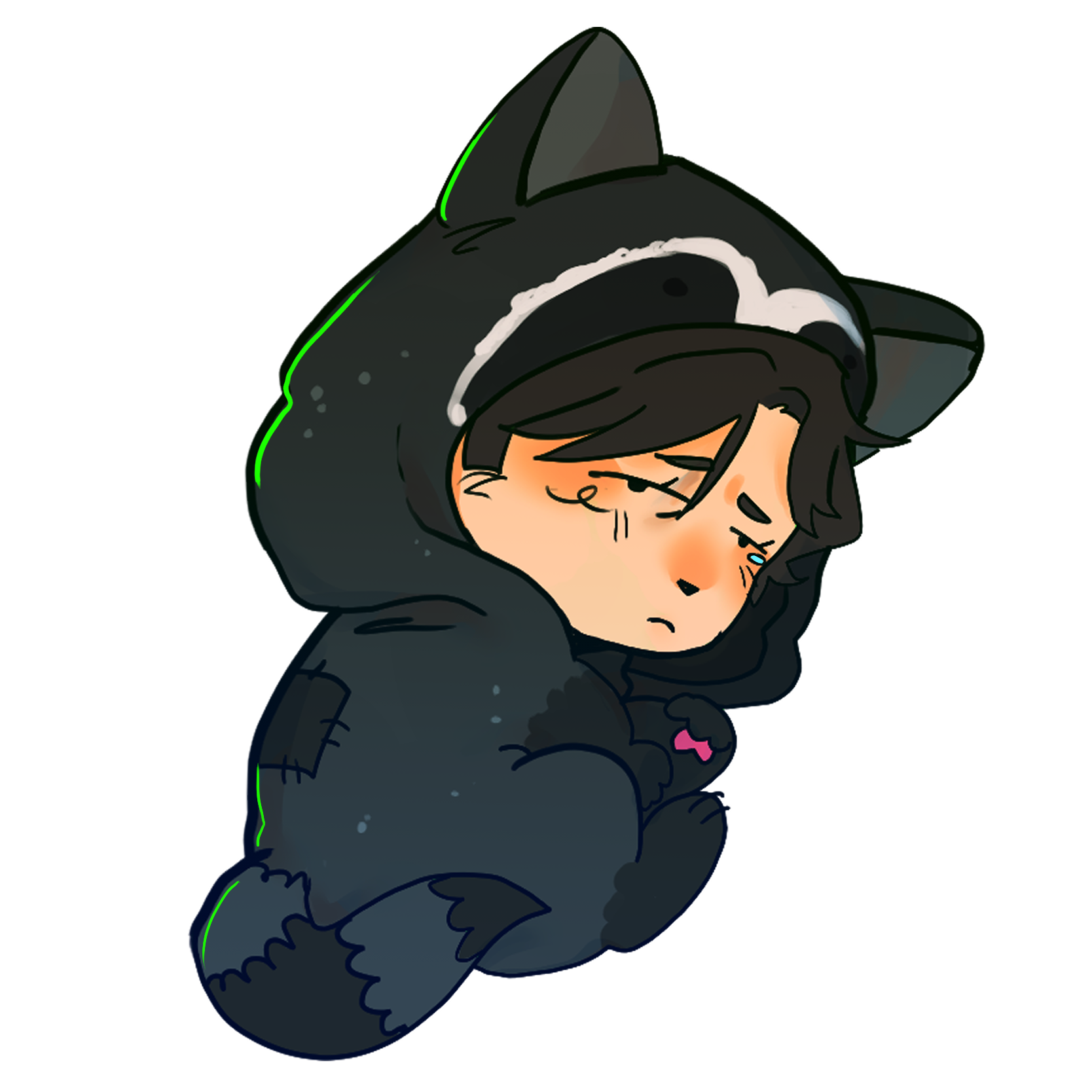 Racoon Henry