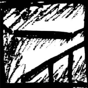 cinerary000