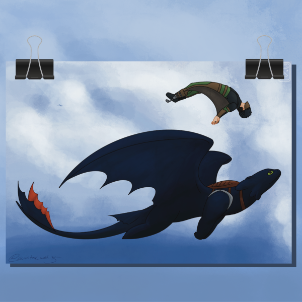 Hiccup-Toothless Flight Time