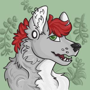 soapstag
