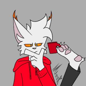 Marek The Cat