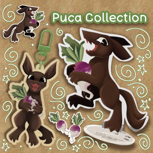 The Puca collection! 