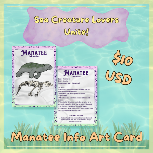 Manatee Informative Art Card Liquid Sliver Holographic Photocard