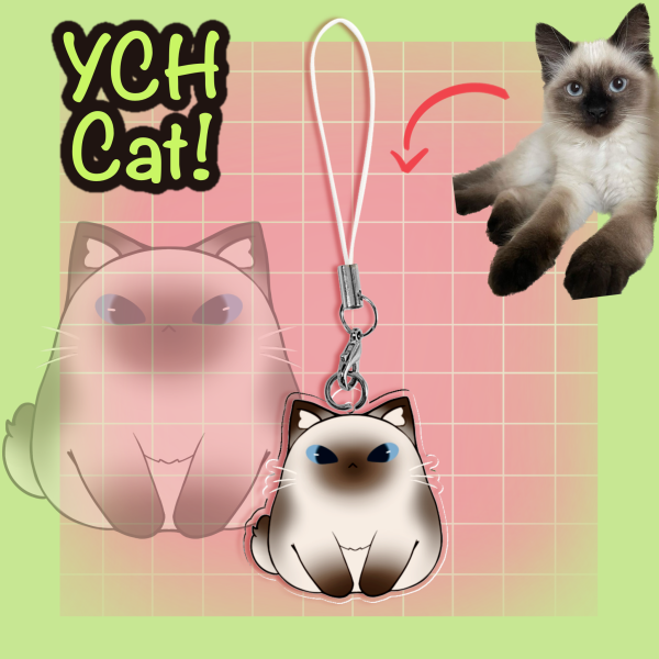 Ych cat phone charm / lanyard keychain