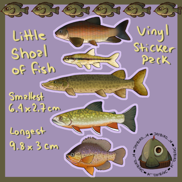 Little Shoal of Fish — Vinyl Stickers