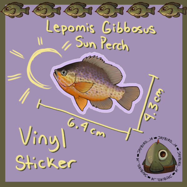 Lepomis gibbosus Vinyl Sticker