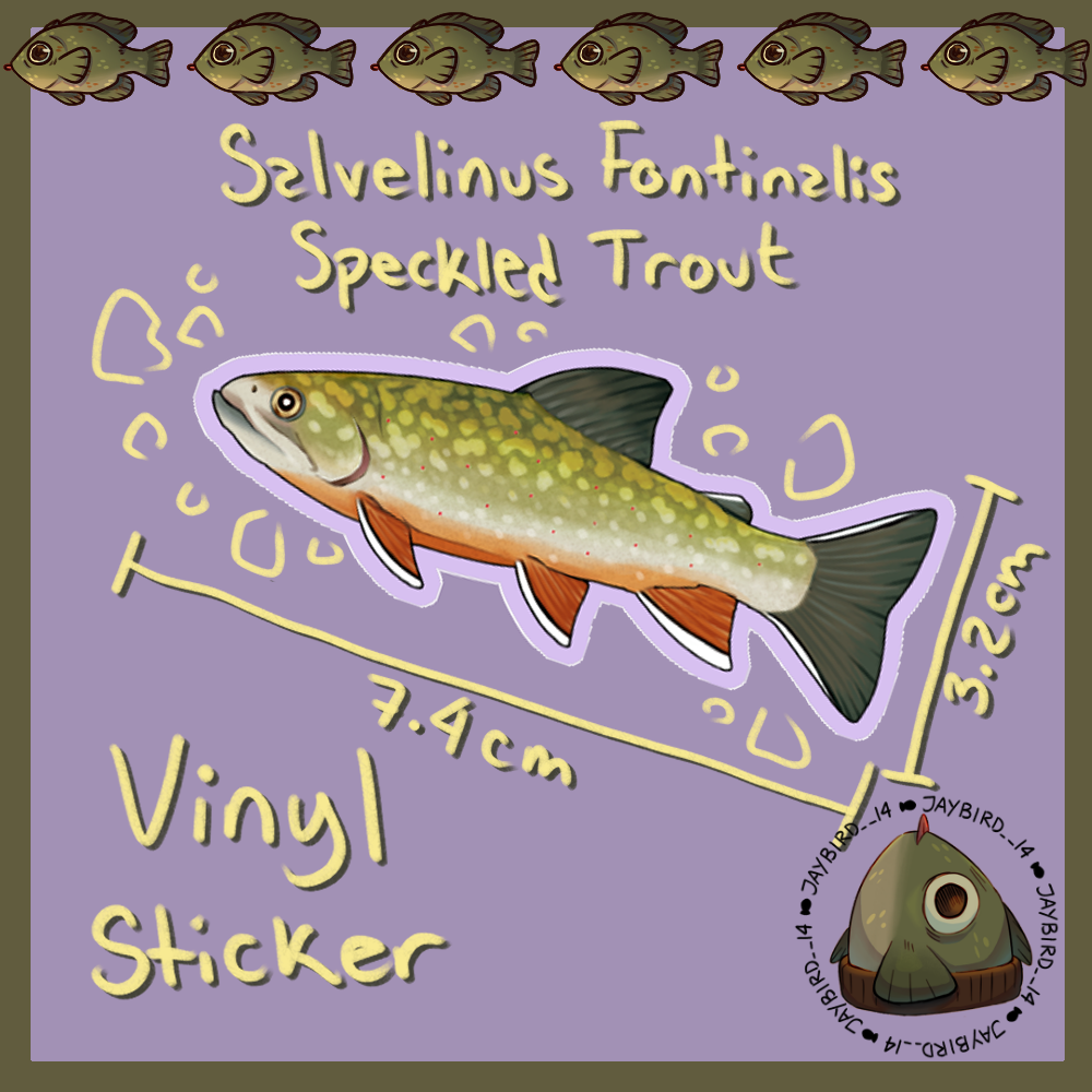 Salvelinus fontinalis Vinyl Sticker