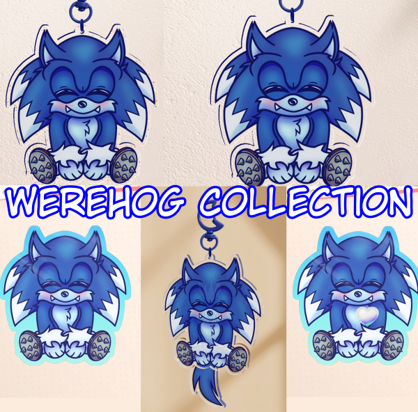Chibi Sonic the Werehog Set
