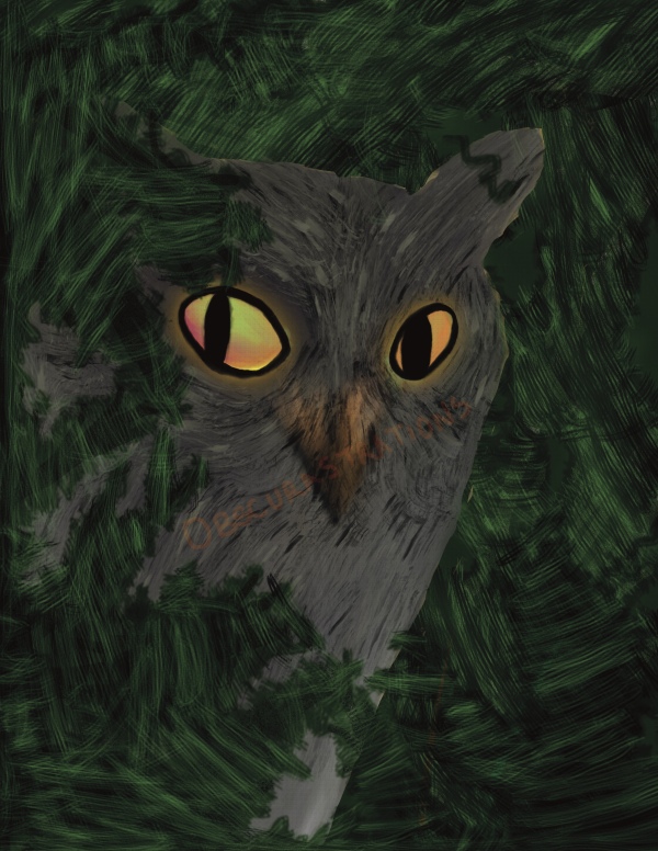Great Horned Owl Bundle 