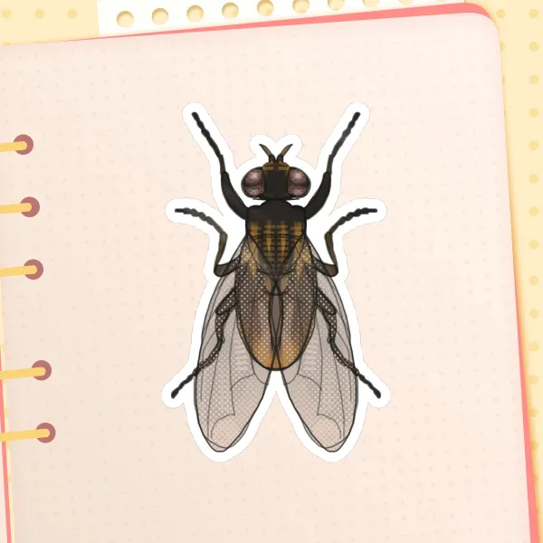 Fly Sticker
