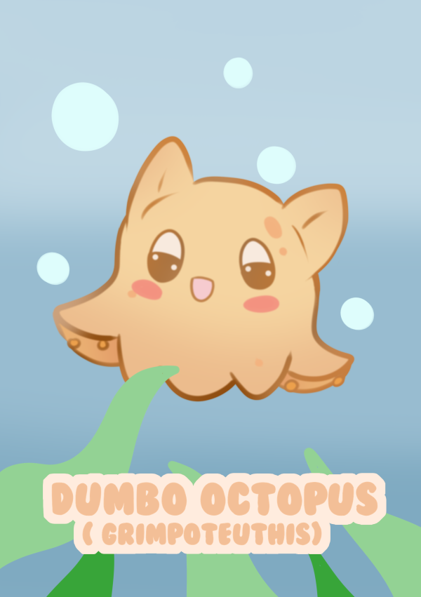 Honey the octopus