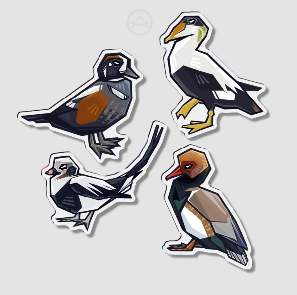 Duck divas magnet set1