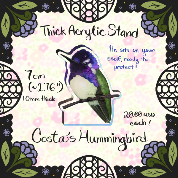 Costa's Hummingbird - Thick Acrylic Stand