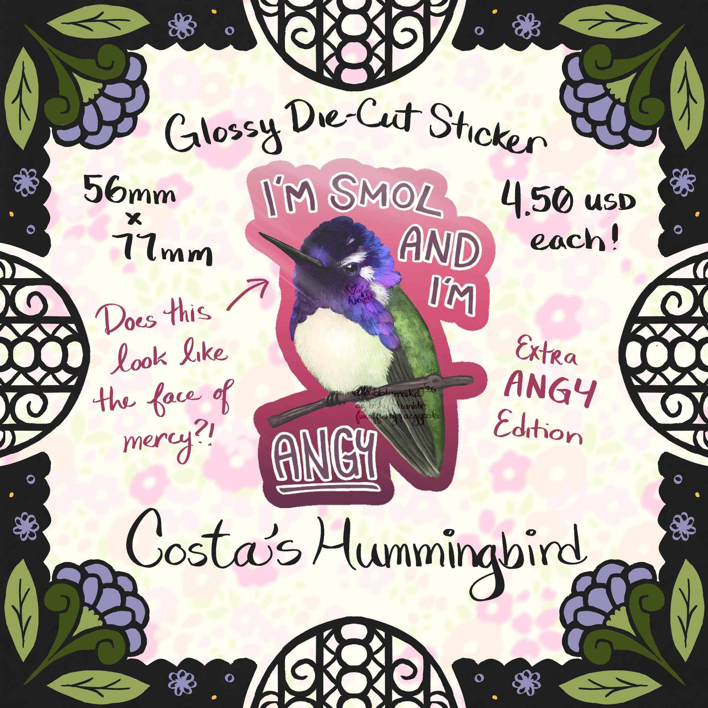 Costa's Hummingbird - EXTRA ANGY Sticker