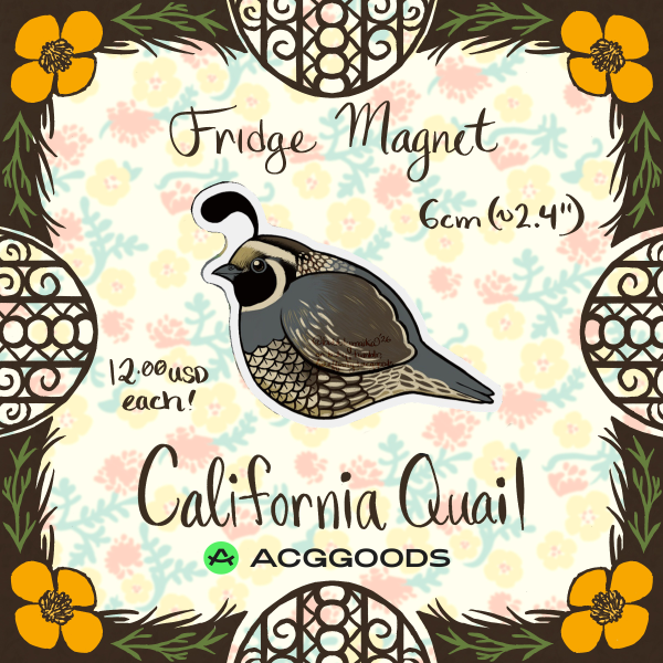 California Quail - Magnet