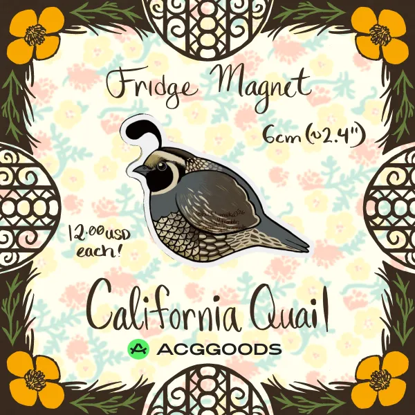 California Quail - Magnet