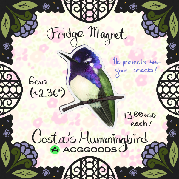 Costa's Hummingbird - Fridge Magnet