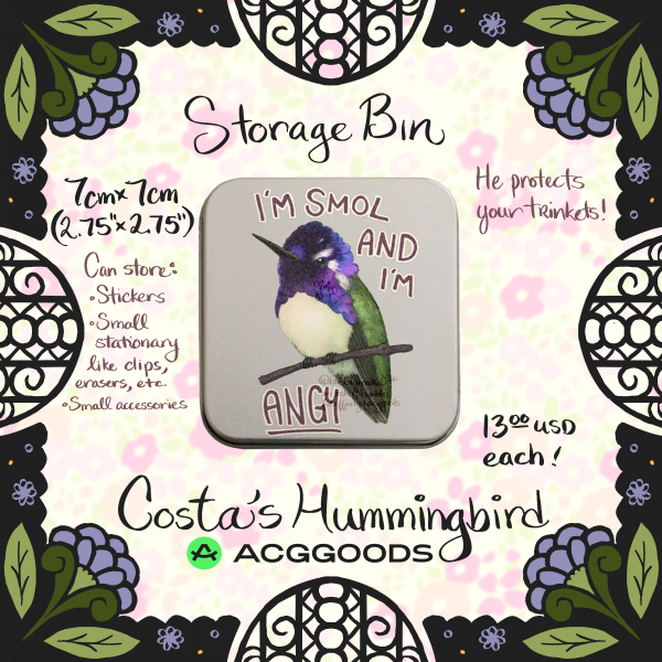 Costa's Hummingbird - Storage Tin