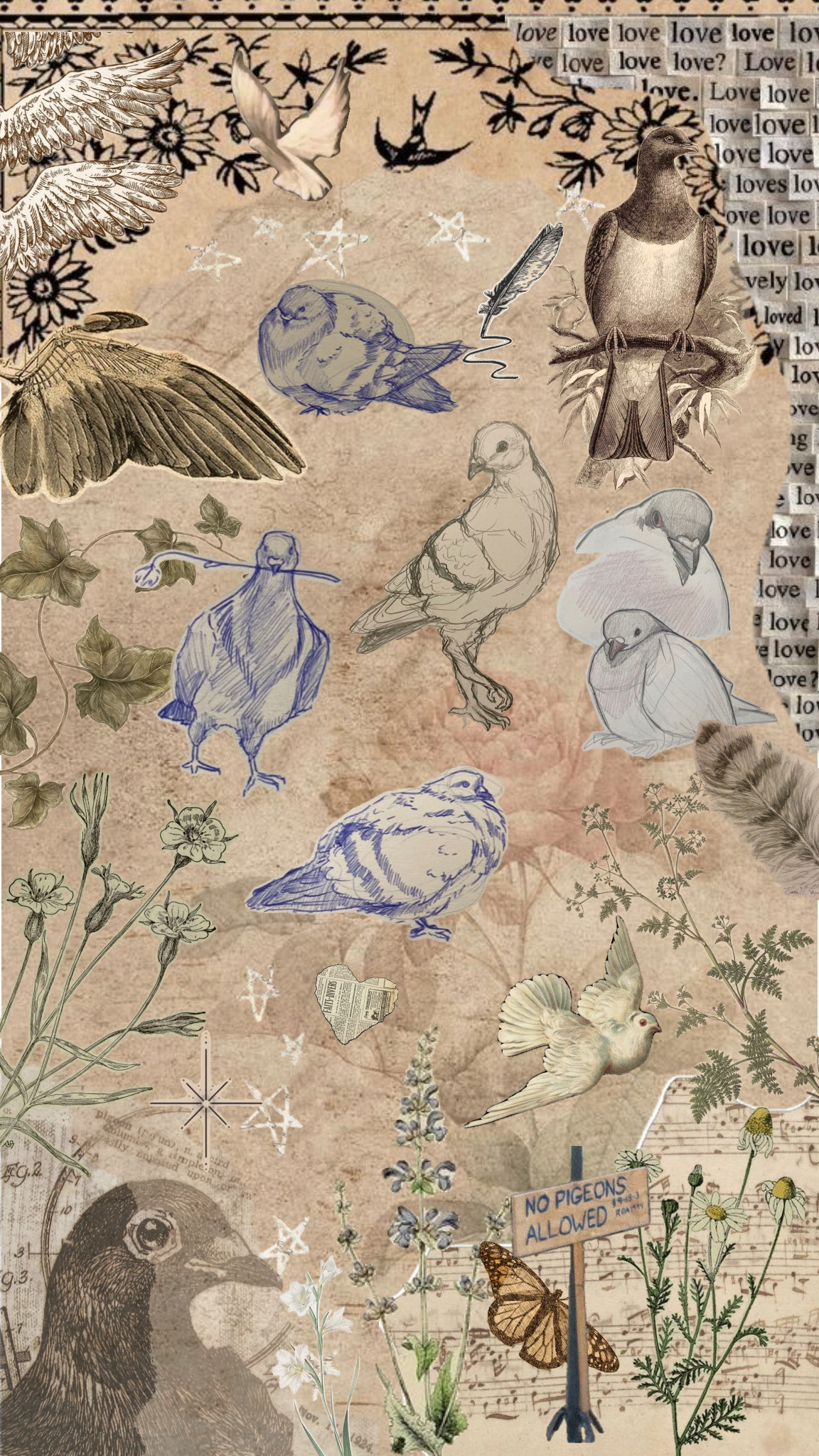 shopAvatar