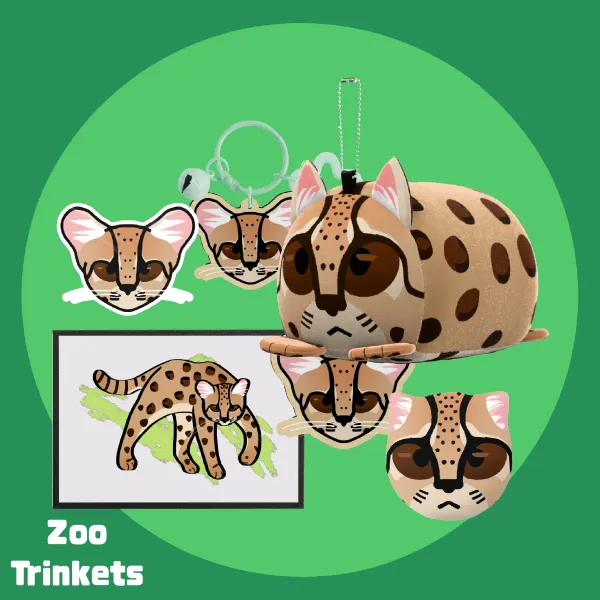 Tilcayo Bundle