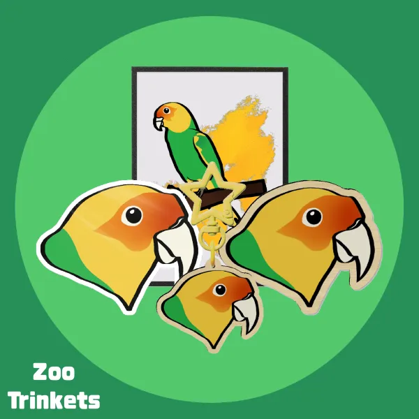 Carolina Parakeet Bundle