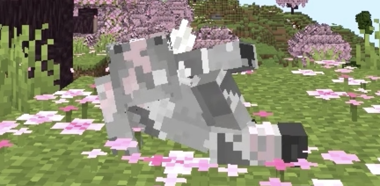 shopAvatar