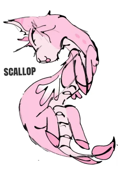Scallop