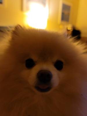 nina