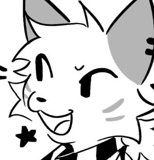 Raykun