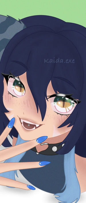 Kaida