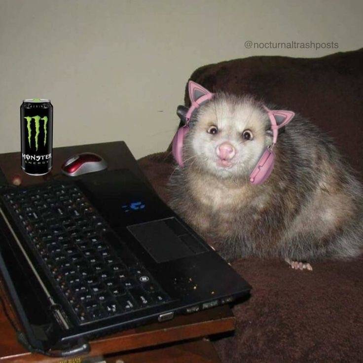 shopAvatar