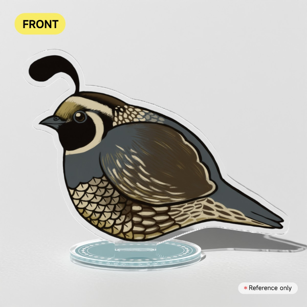California Quail - Acrylic Standee