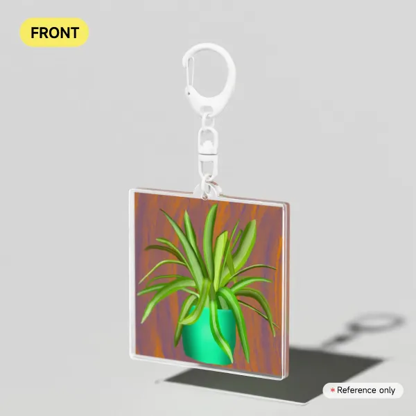 Spider Plant
