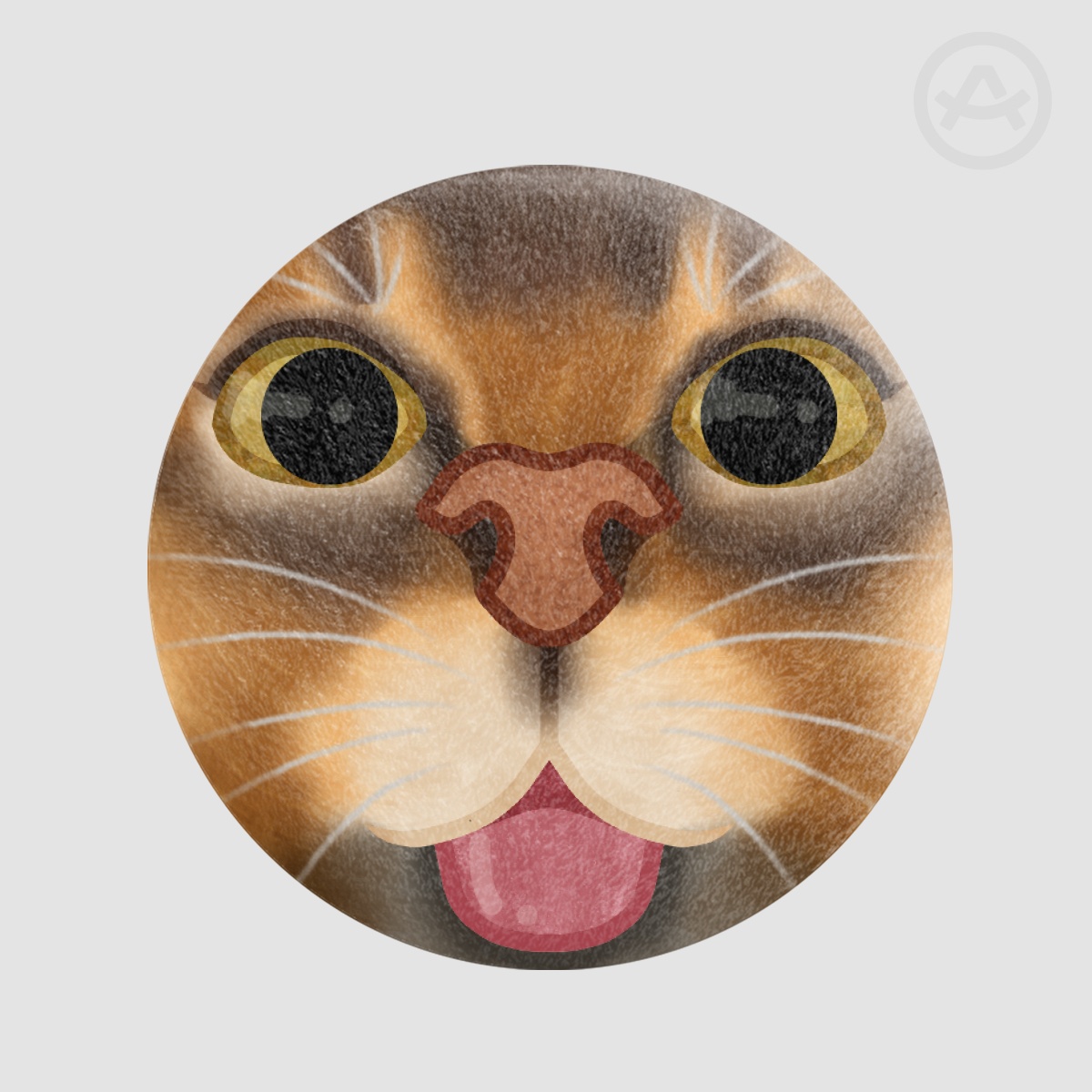 Blep Cat (Abyssinian) | Pin