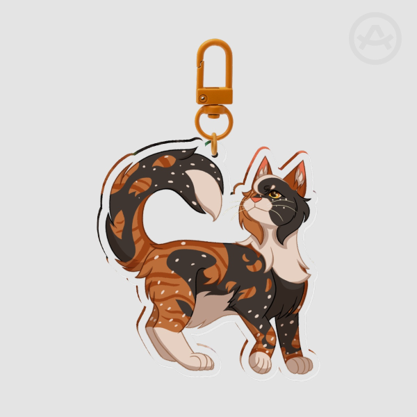 Clear Acrylic Keychains