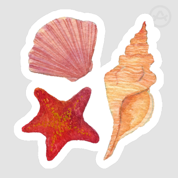 Shells Sticker