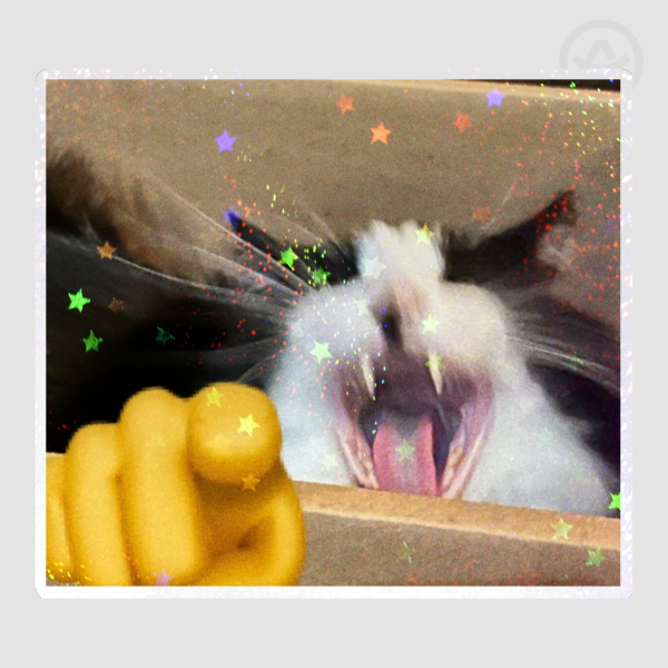 MooMoo Laughin'