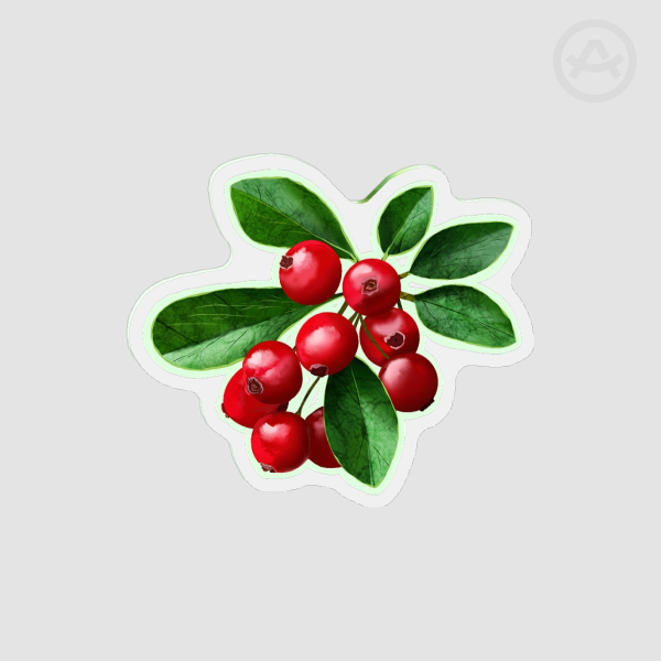 Lingonberry | Fridge Magnets - 1.96""(50mm)