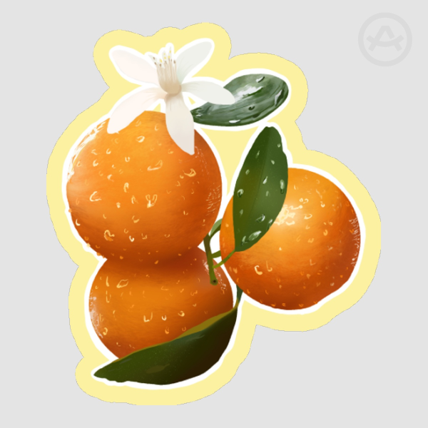 Seville Oranges | Soft Touch Stickers