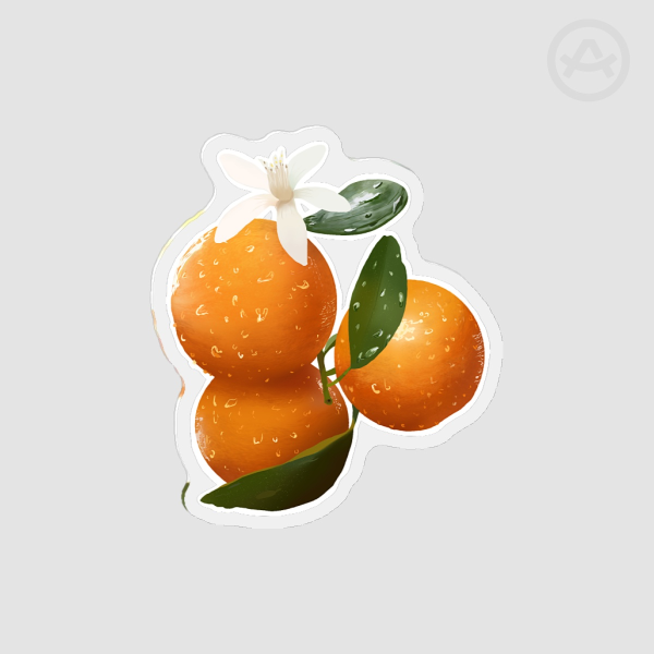 Seville Oranges | Fridge Magnets - 1.96""(50mm)