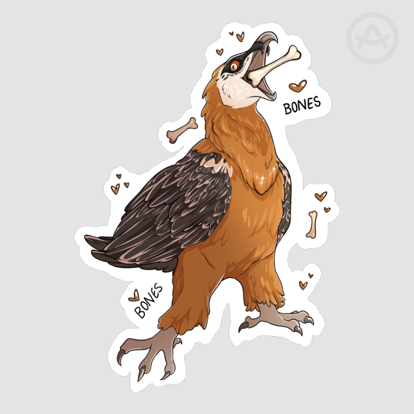 Matte Bearded Vulture STICKER