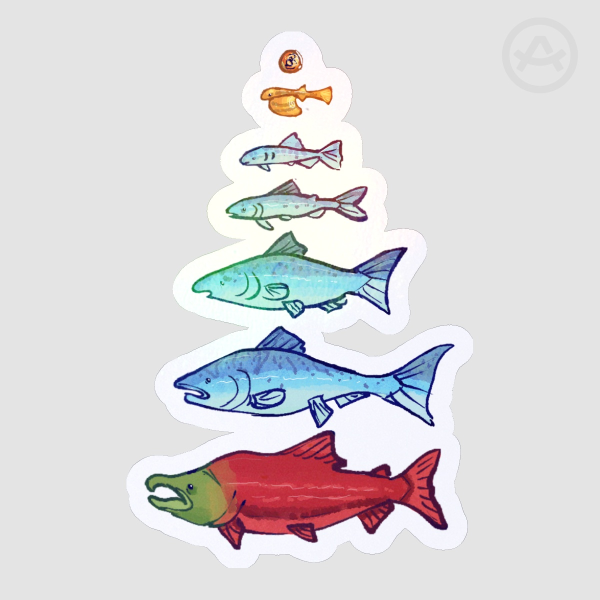 Salmon life cycle sticker