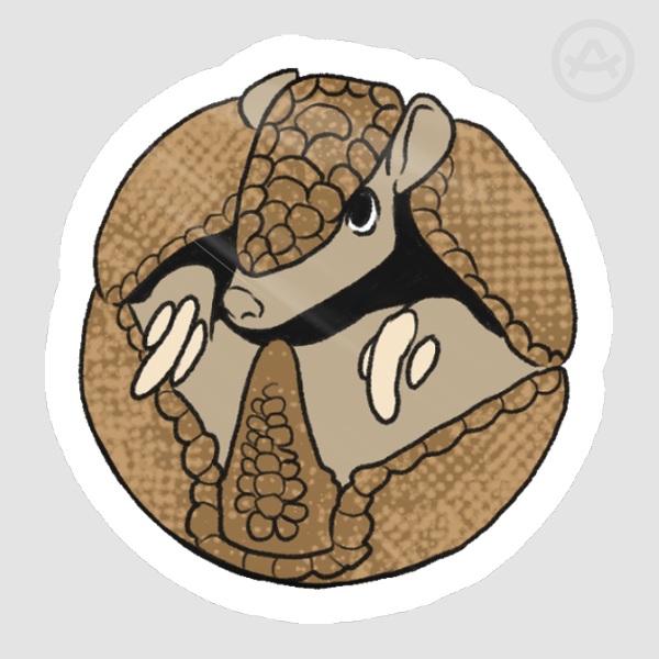 Orbimals || Armadillo