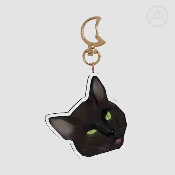 Clear Acrylic Keychains - In celebration of Salem