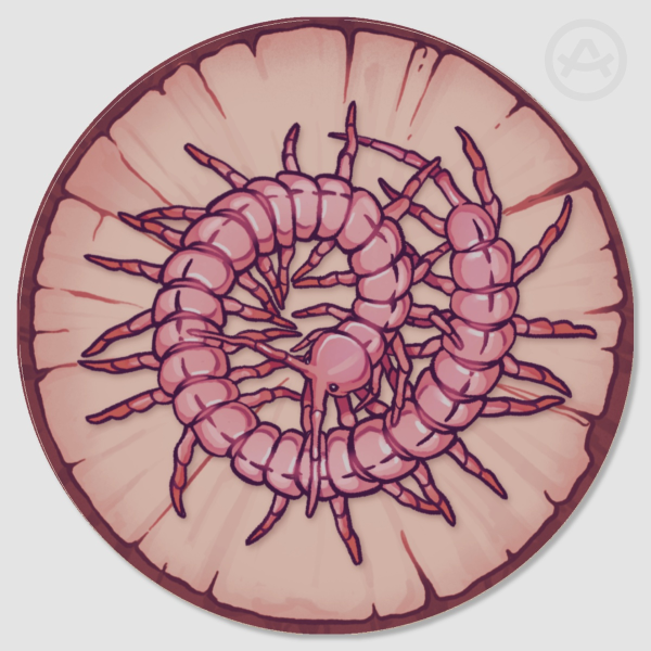 Centipede Wood Coaster